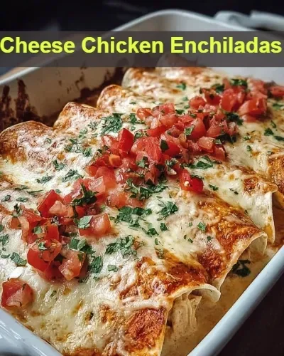 Cheese Chicken Enchiladas topped with melted cheese and fresh herbs